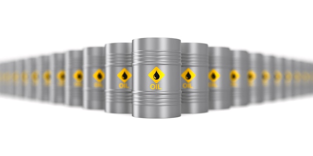 Organizational Audit